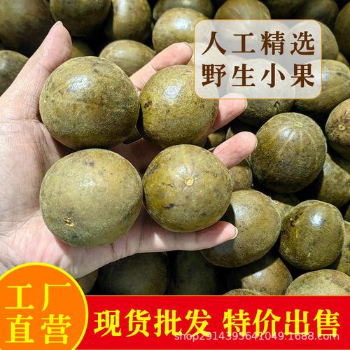 桂林永福罗汉果 深山野生干果，一壶清甜润古今